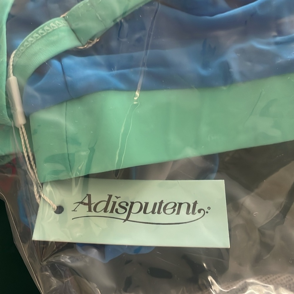 - NWT- 2025 Summer Shades of Blue
BIKINI highway waist full coverage - Picture 2 of 4